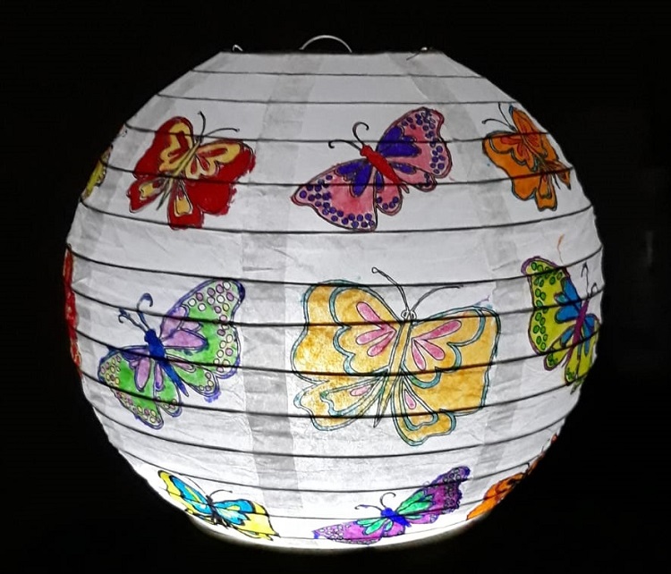 lampion vlinders